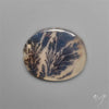 Selected Scenic Dendritic Agate