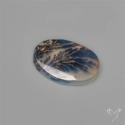 Selected Scenic Dendritic Agate