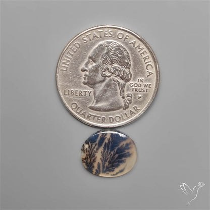 Selected Scenic Dendritic Agate