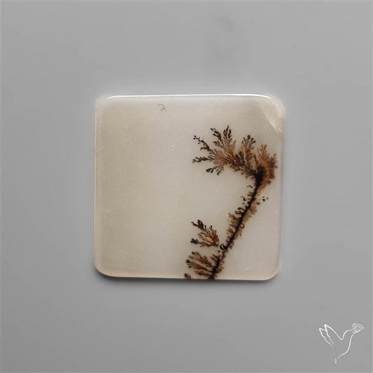 Selected Scenic Dendritic Agate