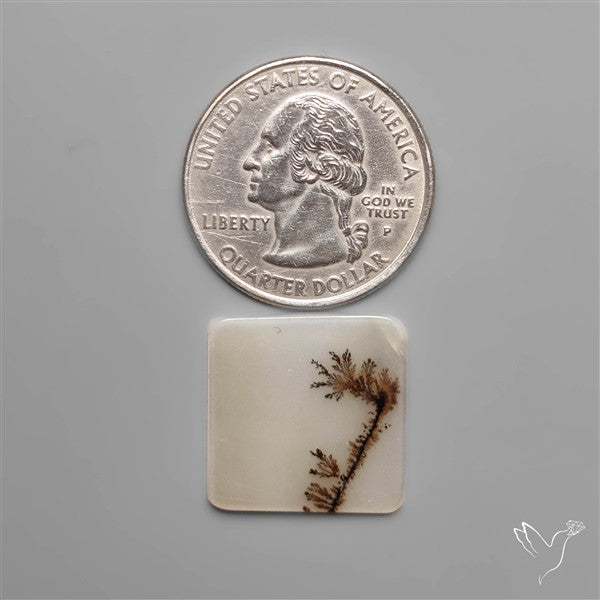 Selected Scenic Dendritic Agate
