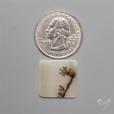 Selected Scenic Dendritic Agate