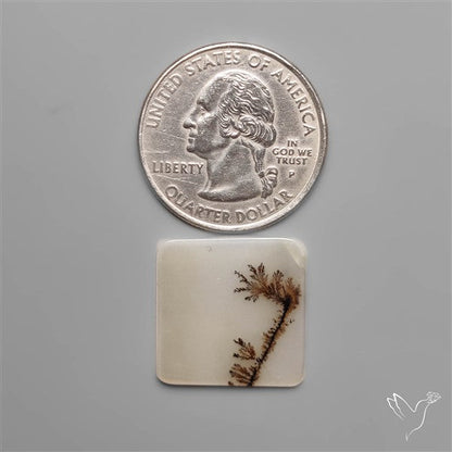 Selected Scenic Dendritic Agate
