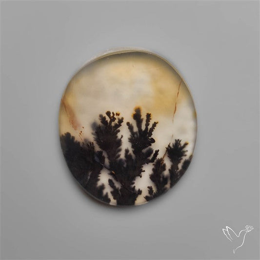 Selected Scenic Dendritic Agate