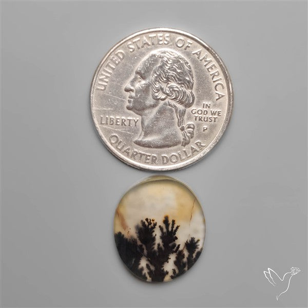 Selected Scenic Dendritic Agate