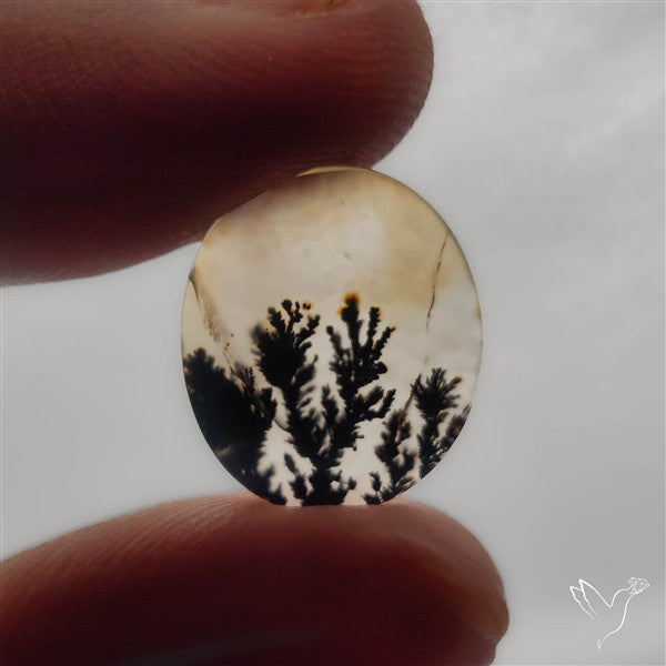 Selected Scenic Dendritic Agate