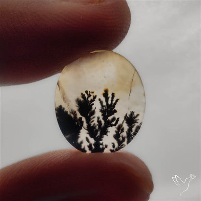 Selected Scenic Dendritic Agate