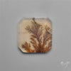 Selected Scenic Dendritic Agate