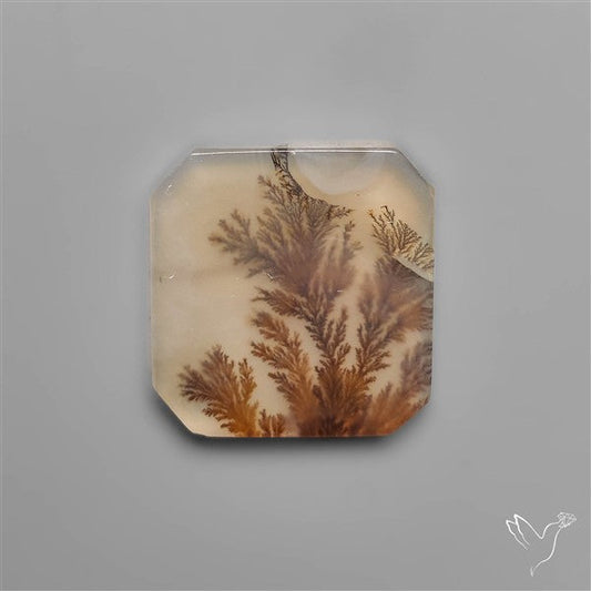 Selected Scenic Dendritic Agate