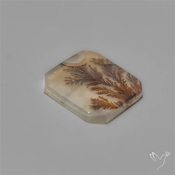 Selected Scenic Dendritic Agate