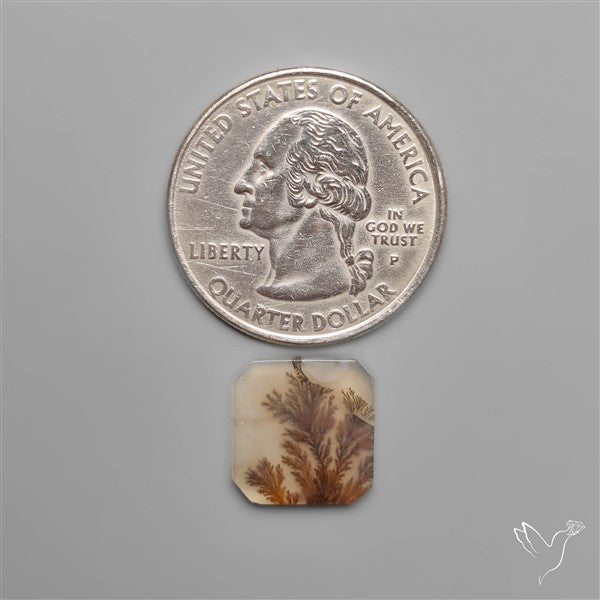 Selected Scenic Dendritic Agate