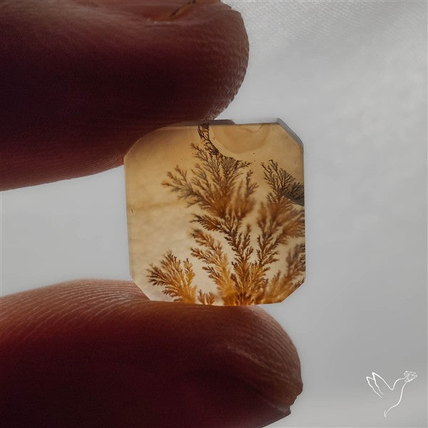 Selected Scenic Dendritic Agate