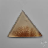 Selected Scenic Dendritic Agate