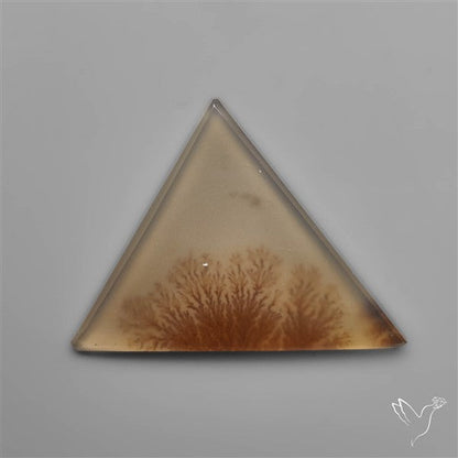 Selected Scenic Dendritic Agate