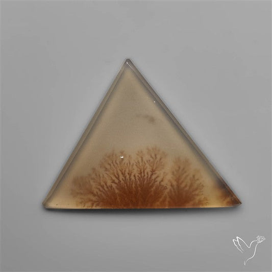 Selected Scenic Dendritic Agate