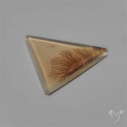 Selected Scenic Dendritic Agate