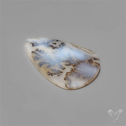 Selected Scenic Dendritic Agate