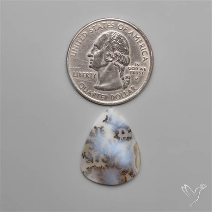 Selected Scenic Dendritic Agate