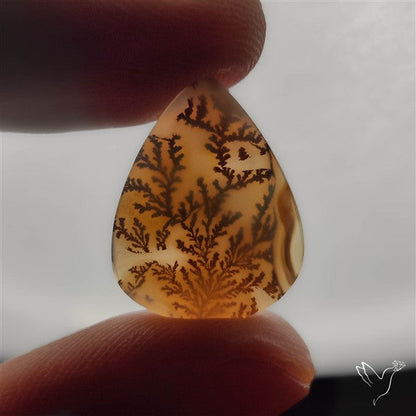 Selected Scenic Dendritic Agate