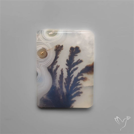 Selected Scenic Dendritic Agate