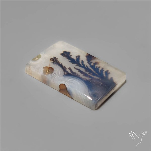 Selected Scenic Dendritic Agate