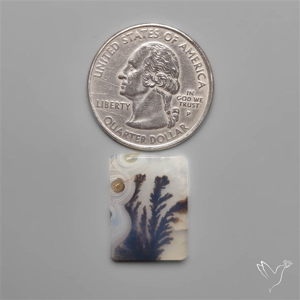 Selected Scenic Dendritic Agate