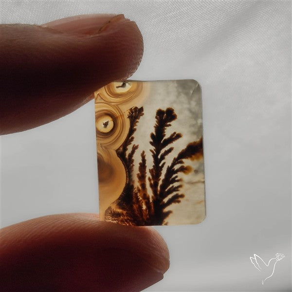 Selected Scenic Dendritic Agate