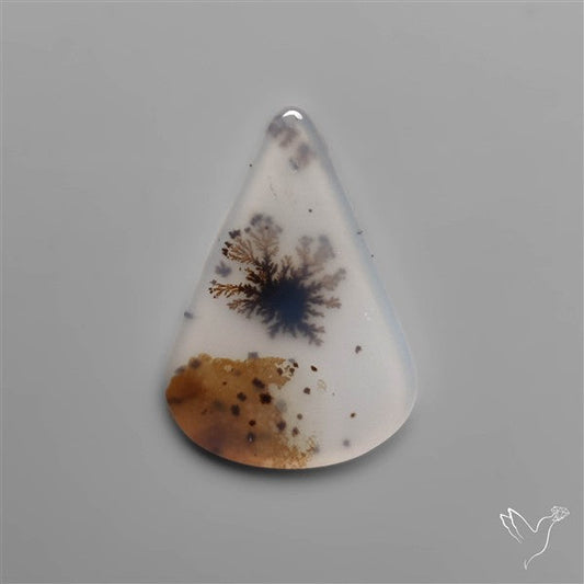Selected Scenic Dendritic Agate