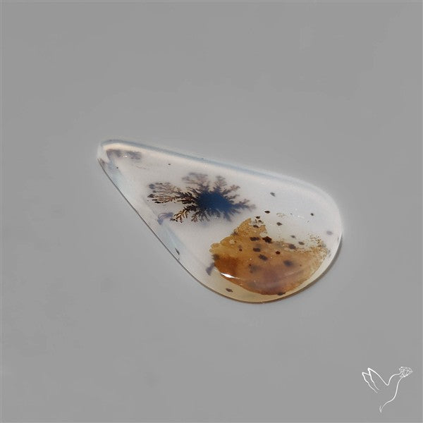 Selected Scenic Dendritic Agate