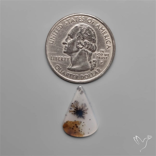 Selected Scenic Dendritic Agate