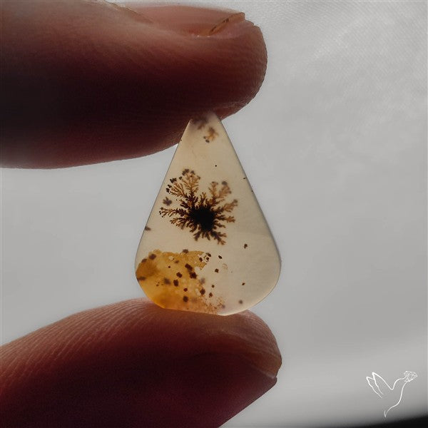 Selected Scenic Dendritic Agate