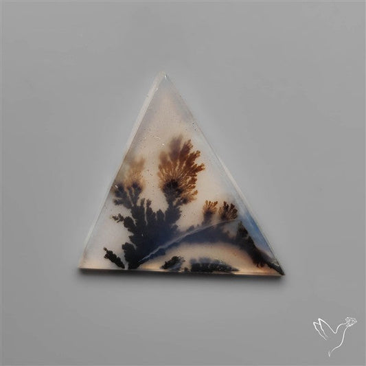 Selected Scenic Dendritic Agate