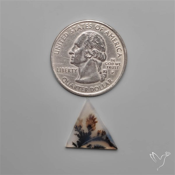 Selected Scenic Dendritic Agate
