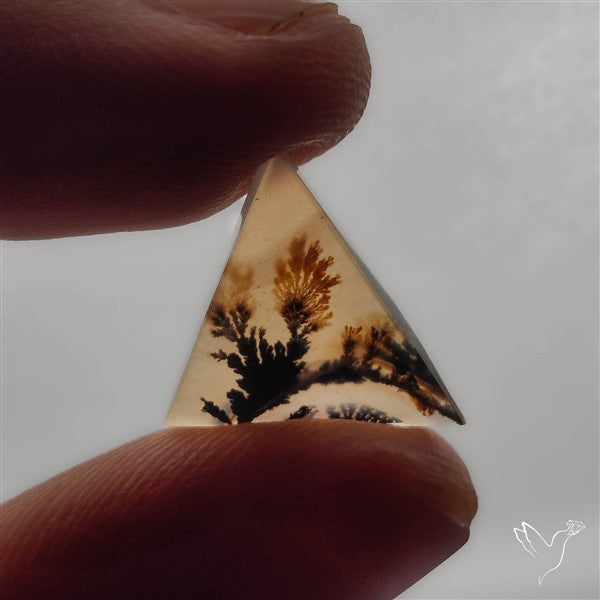 Selected Scenic Dendritic Agate