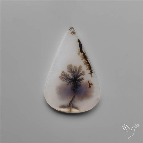 Selected Scenic Dendritic Agate