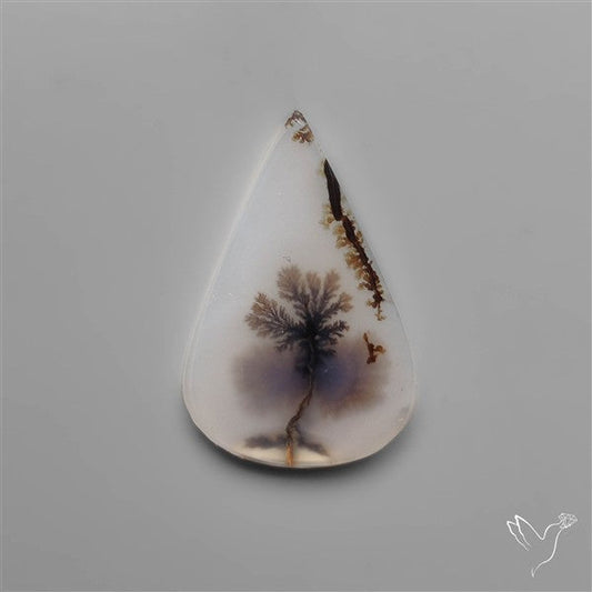 Selected Scenic Dendritic Agate