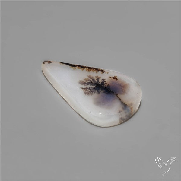 Selected Scenic Dendritic Agate