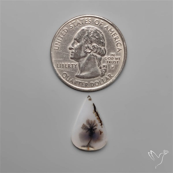 Selected Scenic Dendritic Agate