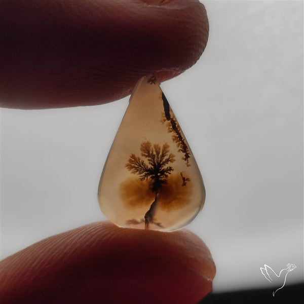 Selected Scenic Dendritic Agate