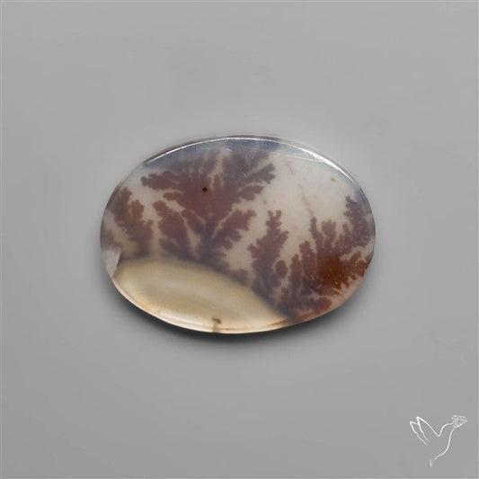 Selected Scenic Dendritic Agate