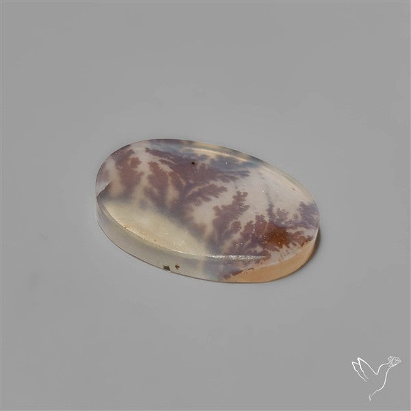 Selected Scenic Dendritic Agate
