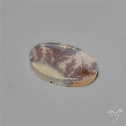 Selected Scenic Dendritic Agate