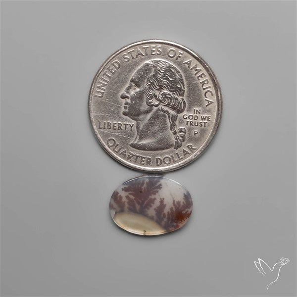 Selected Scenic Dendritic Agate