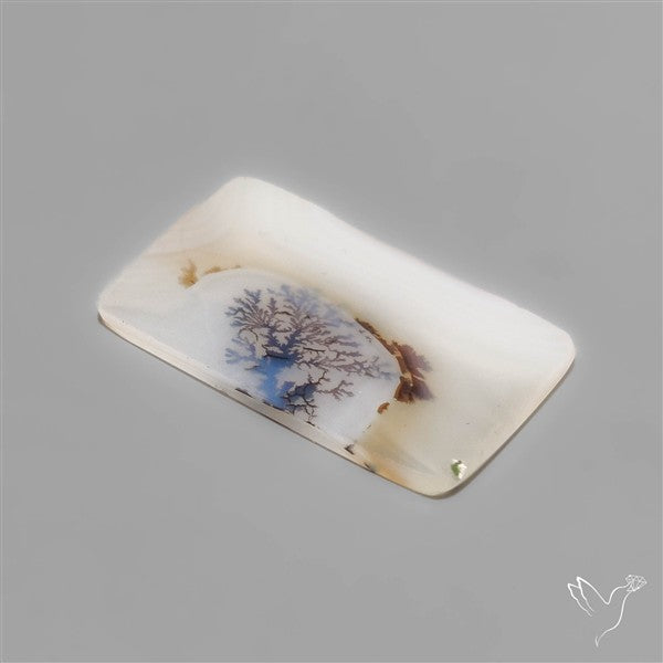 Selected Scenic Dendritic Agate