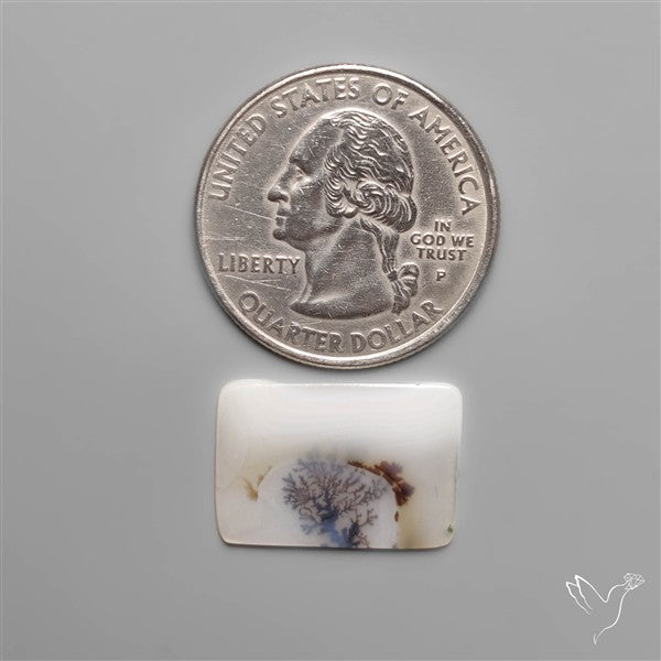 Selected Scenic Dendritic Agate