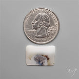 Selected Scenic Dendritic Agate