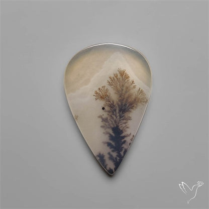 Selected Scenic Dendritic Agate