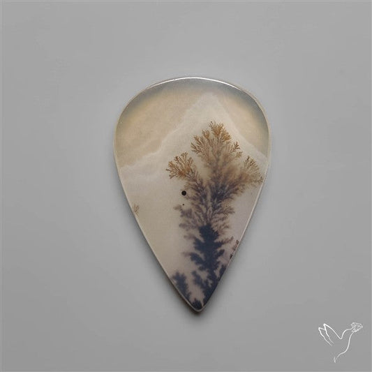 Selected Scenic Dendritic Agate