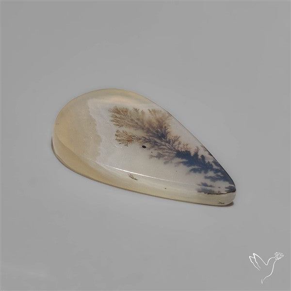 Selected Scenic Dendritic Agate