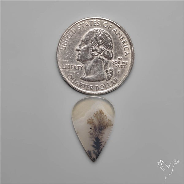 Selected Scenic Dendritic Agate